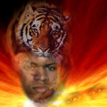 Tigers LK$ by Magma